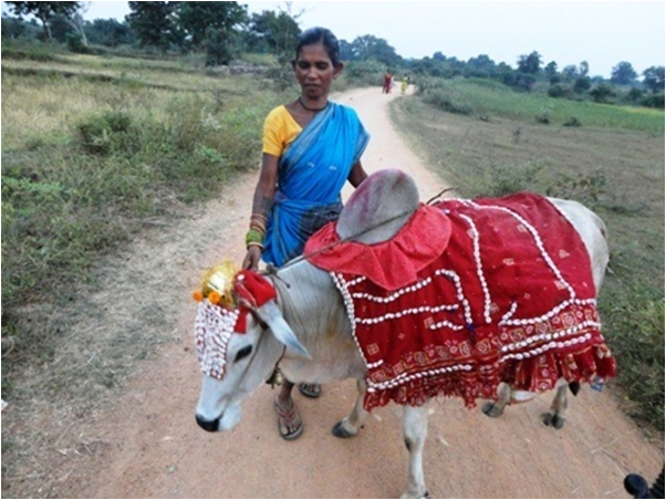 Rural Culture Rural Self-employment